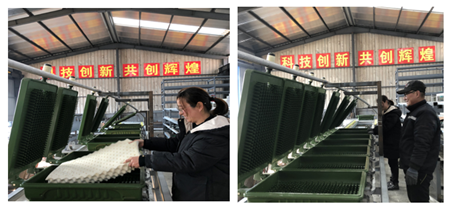 天然乳膠枕頭全自動生產(chǎn)線