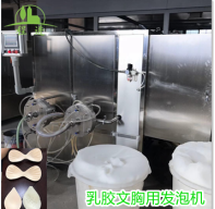 乳膠文胸生產(chǎn)線準(zhǔn)備試運(yùn)行